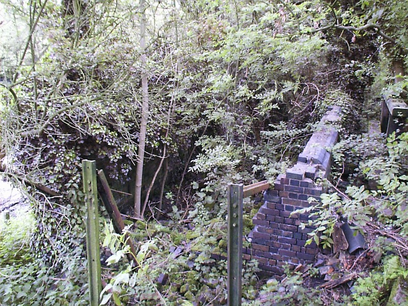 The remains of Dove Junction photographed in 1999